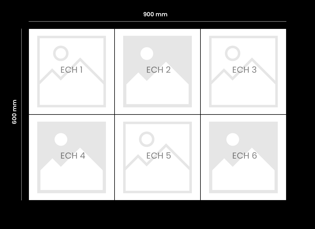 Taille des échantillons Tisalia